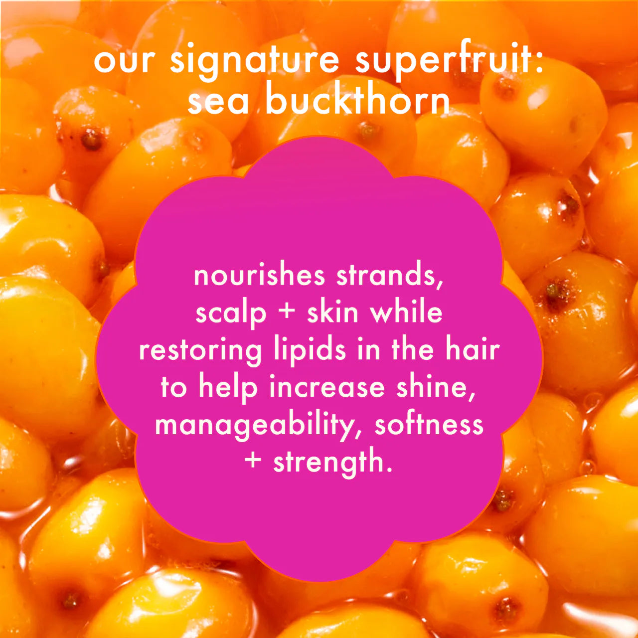 normcore signature conditioner 9.2 oz / 275 ml - amika