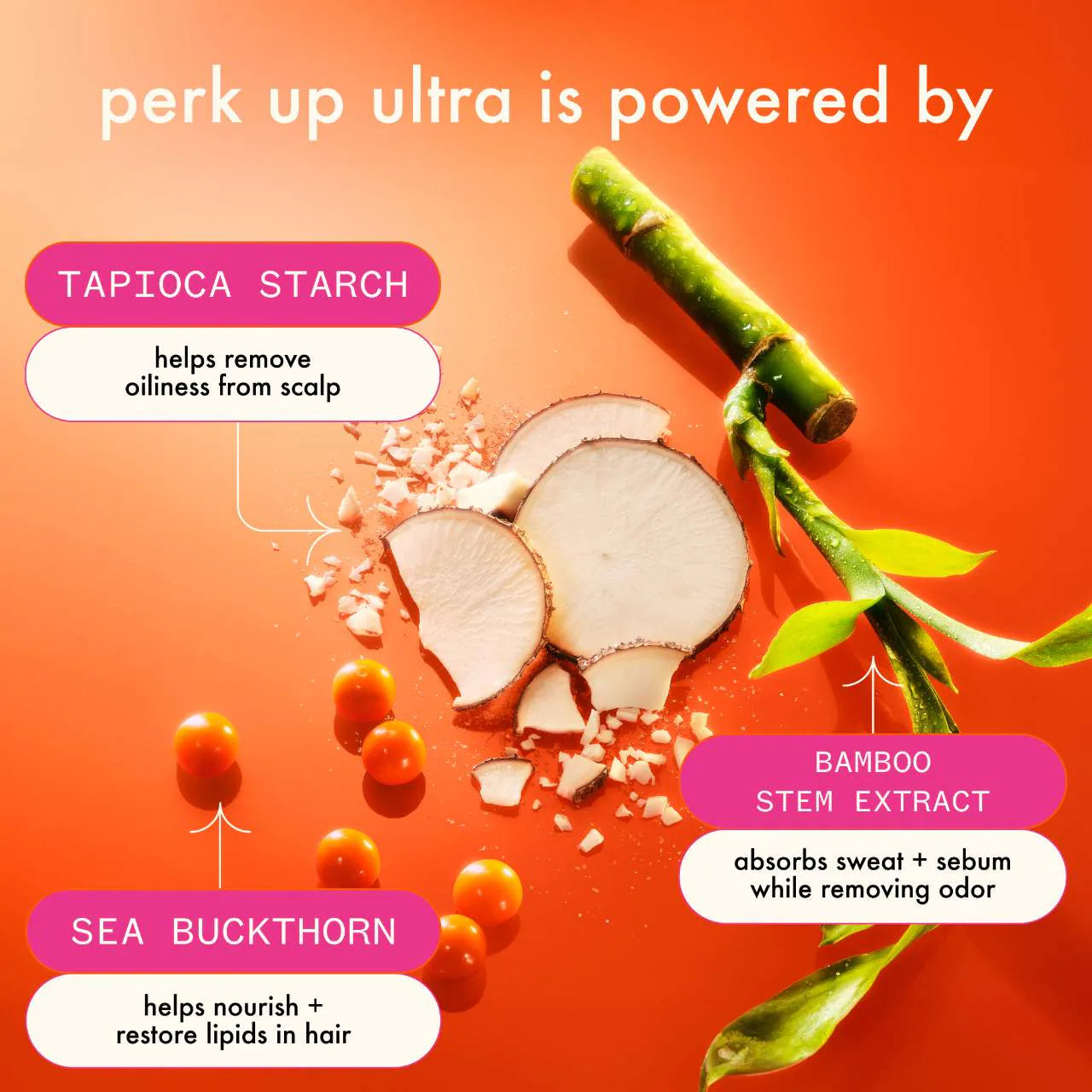 perk up ultra oil control dry shampoo 5.3 oz / 250 ml